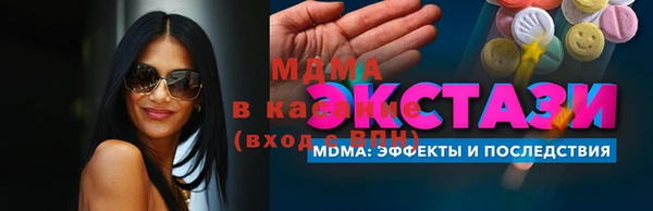 индика Дмитров