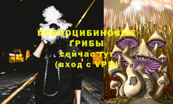 прущий лед Надым