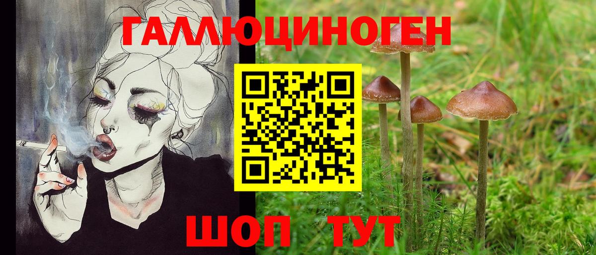 Галлюциногенные грибы мухоморы Всеволожск