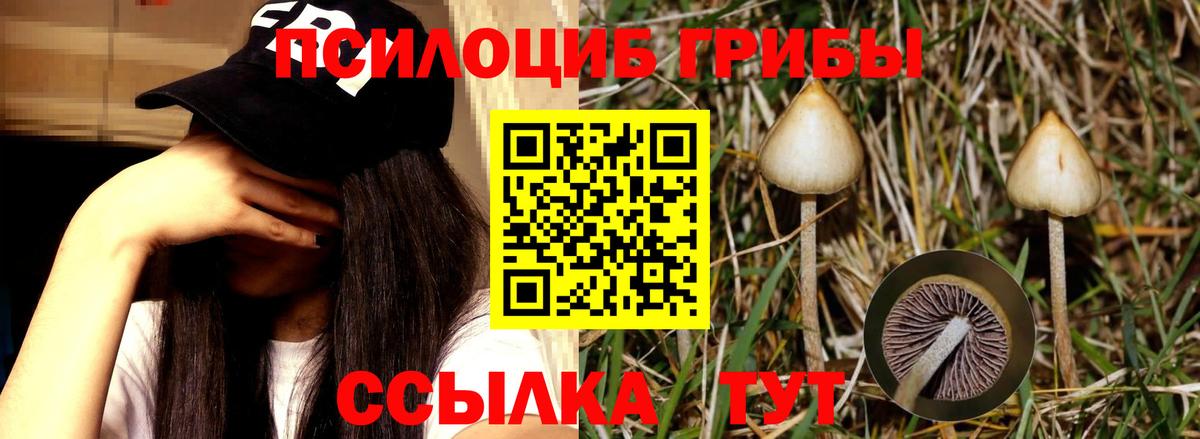 Мефедрон Всеволожск