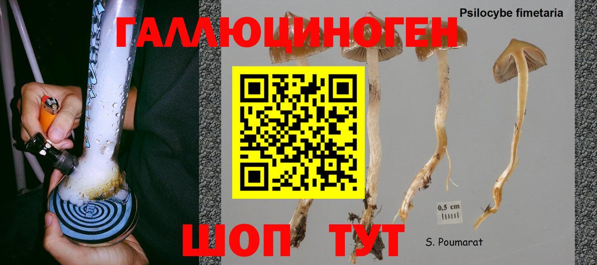 Галлюциногенные грибы MAGIC MUSHROOMS  Вход с VPN  Всеволожск 