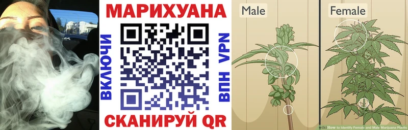 Шишки марихуана THC 21%  Всеволожск 